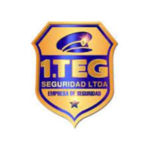 Logo de TEG Seguridad